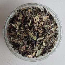 Thé vert bio Casbah