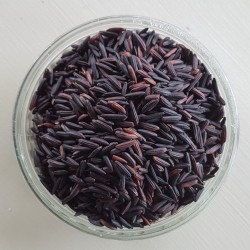 Riz noir de Camargue IGP